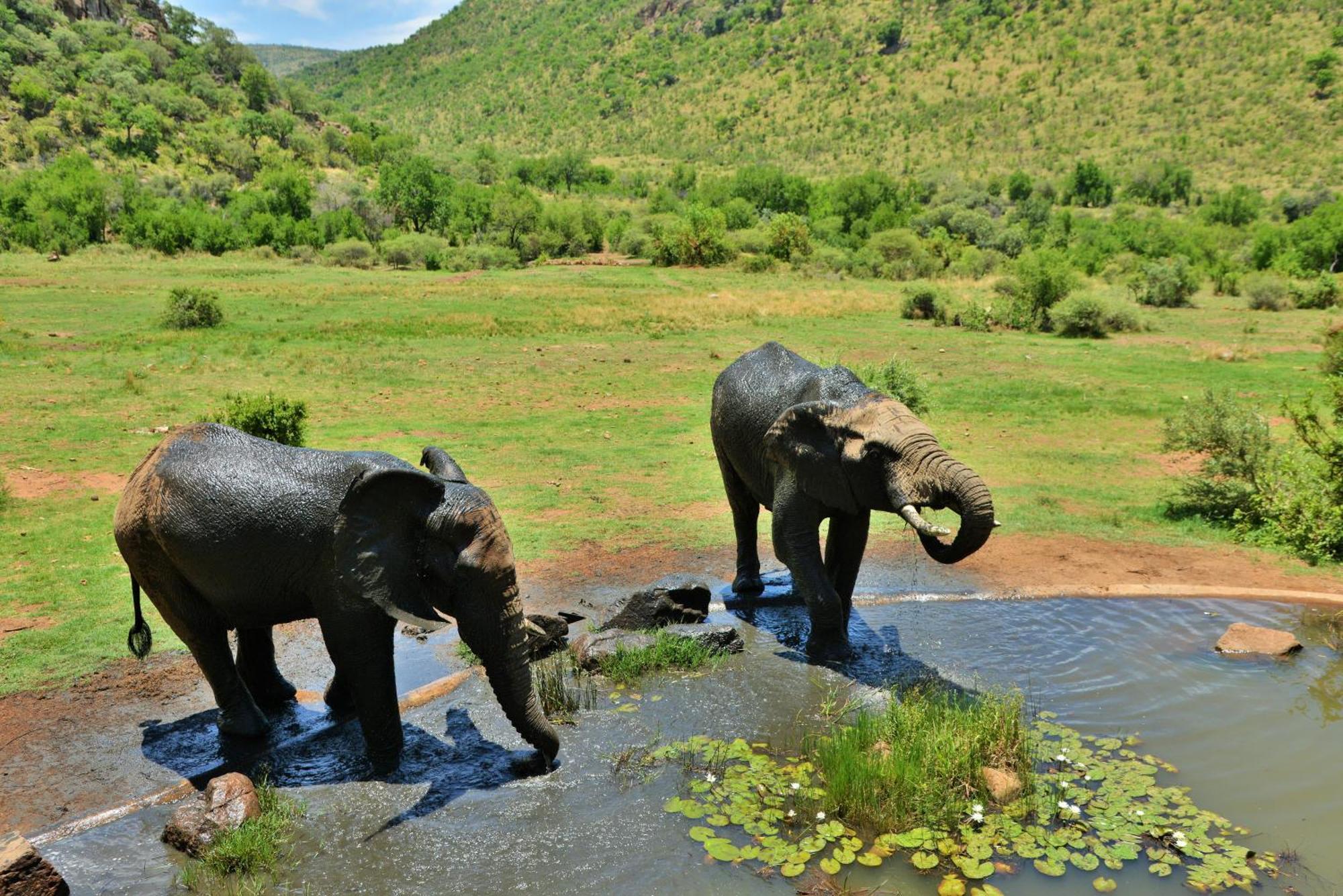 Kwa Maritane Lodge Лейдих Екстериор снимка