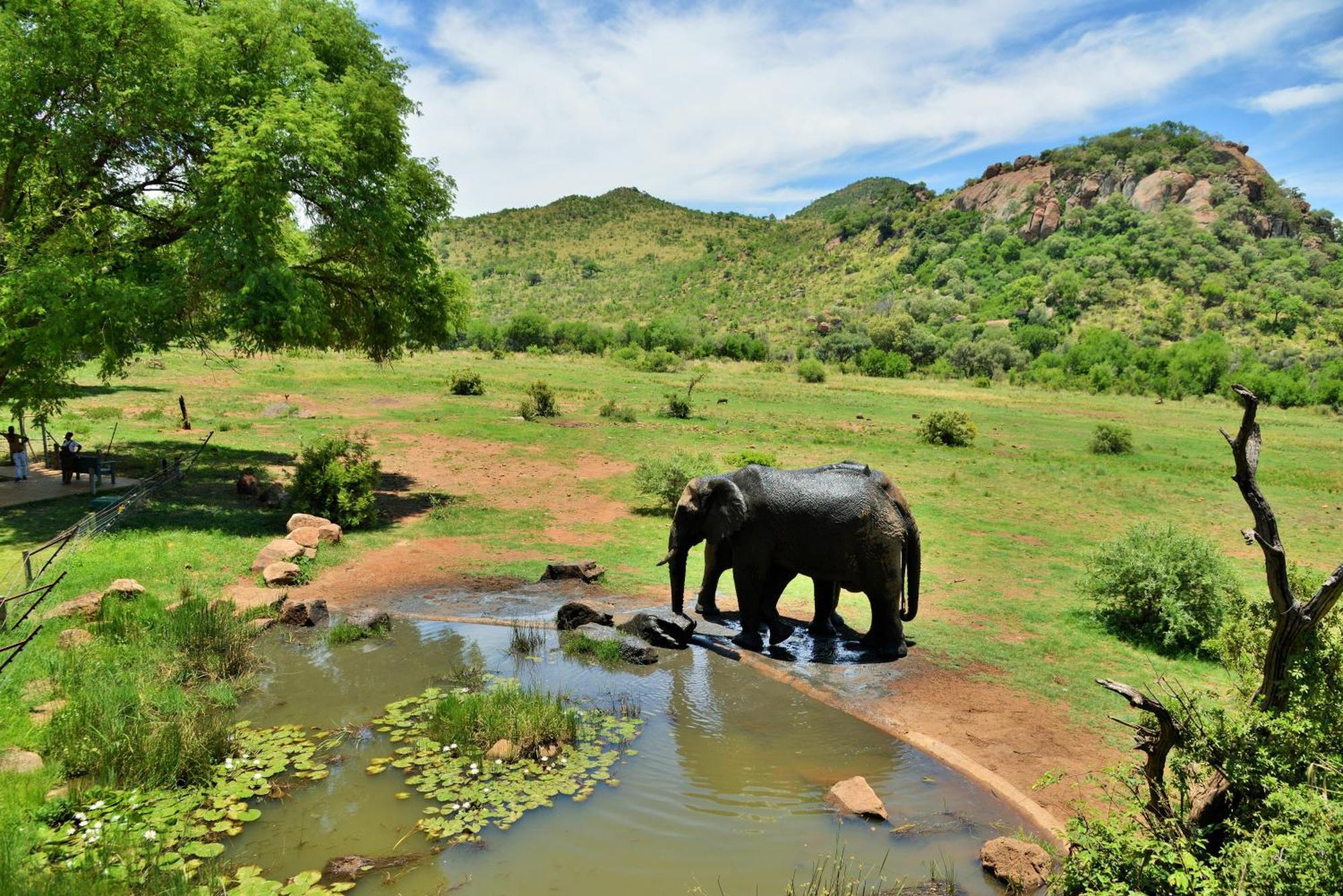 Kwa Maritane Lodge Лейдих Екстериор снимка