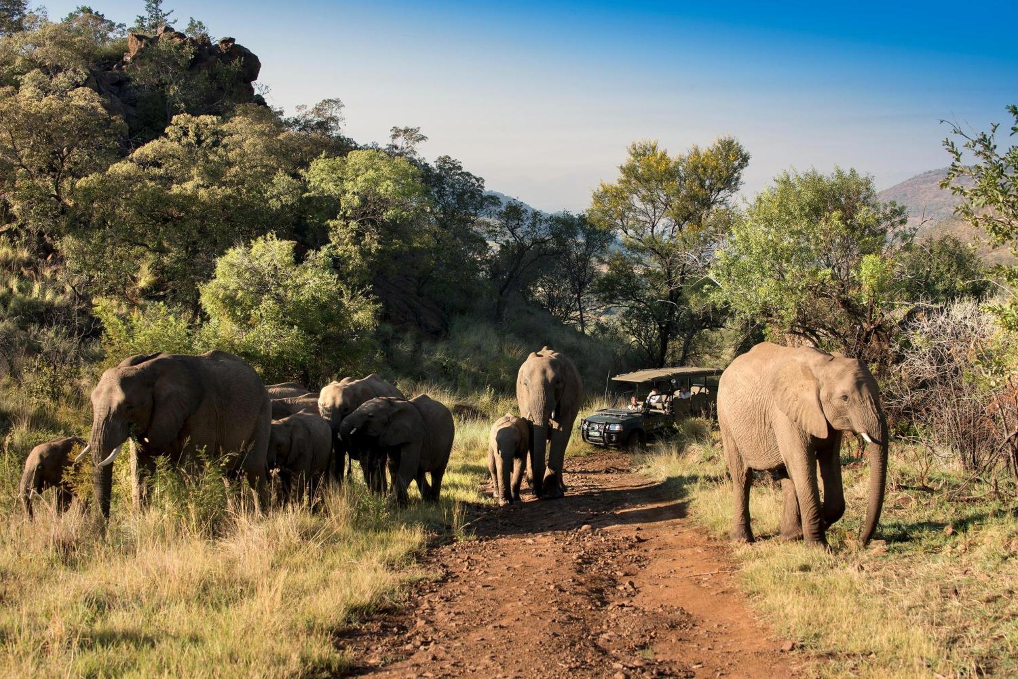 Kwa Maritane Lodge Лейдих Екстериор снимка